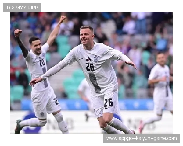 斯洛文尼亚惜败 芬兰再创辉煌，斯洛文尼亚juvan