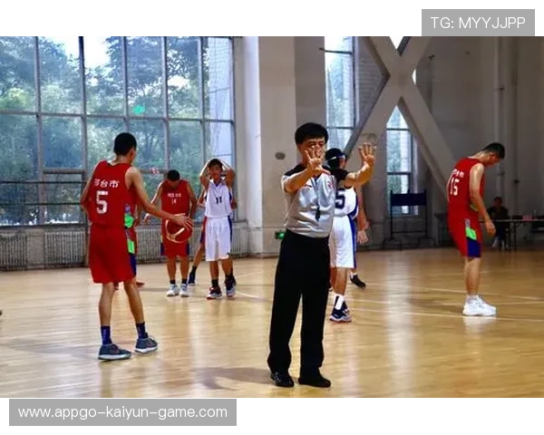 裁判科技创新项目获政府专项资金支持加速落地，裁判信息流程公开网